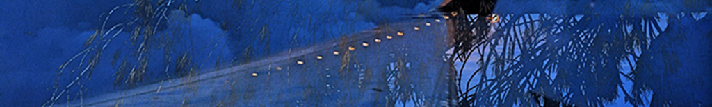 A beam of light shines from a vehicles headlights onto a dark road at night, surrounded by silhouetted tree branches.
