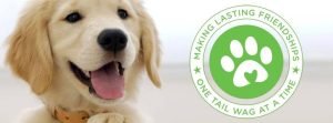A golden retriever puppy next to a circular logo featuring a paw print and the text Making lasting friendships one tail wag at a time.