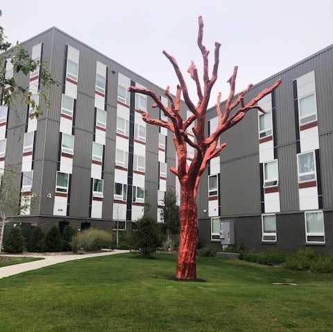 A metallic orange sculpture of a leafless tree stands on a lawn in front of a gray multi-story apartment building.